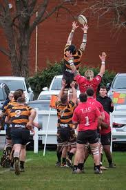 Image result for Rochford Hundred Rugby Club