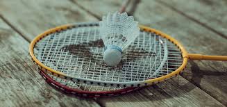 Image result for Racqueteers Jnr (Ashford) Badminton Club