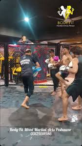 Image result for Bodyfit Martial Arts