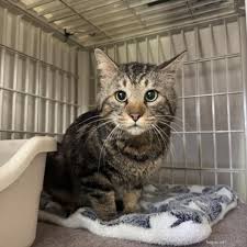 あめくん에 대한 이미지 검색결과