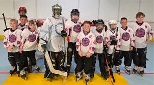 Image result for Vipers Roller Hockey Team