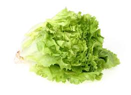 Image result for Endivie