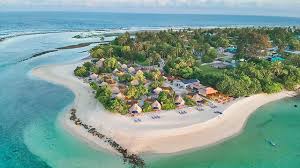 Image result for Maverick Divers