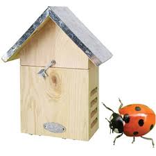 Image result for ladybug house