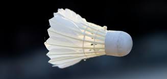 Image result for Racketeers Badminton Club