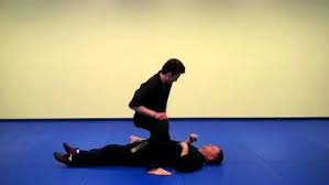 Image result for Vision Martial Arts