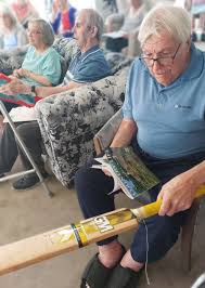 Image result for Horncastle Cricket Club