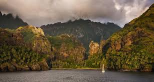 Attēlu rezultāti vaicājumam “Aranei exuvia”