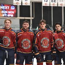 Image result for Basingstoke Bison Ice Hockey Club