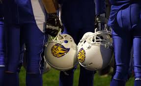 Image result for Birmingham University Lions