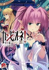 「サルバトーレ・ドニ カンピオーネ！」の画像検索結果