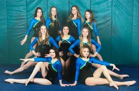 Image result for Alton Gymnastics Club