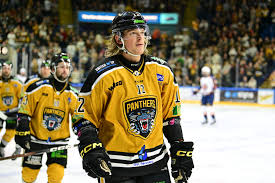 Image result for Nottingham Panthers