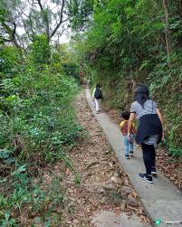 Image result for 水野X68仁義