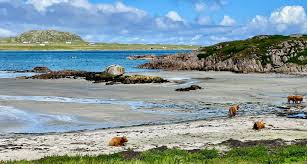 Image result for Scottish Rocks