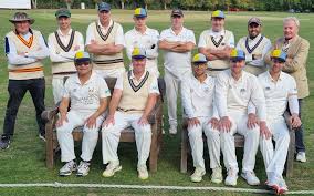 Image result for Bromham Nomads Cricket Club
