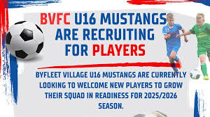 Image result for Byfleet Village Football Club