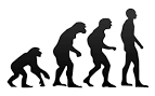 File:Human <b>evolution</b>.svg