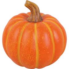 Image result for Kürbis