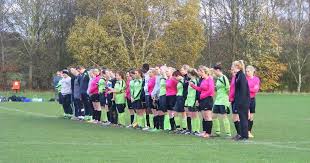 Image result for Welwyn Garden City Panshanger Football Club