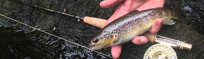 Image result for Dulverton Angling Association