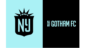 Image result for Gotham Soccer League