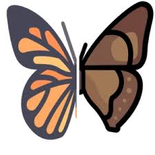 Attēlu rezultāti vaicājumam “Clossiana euphrosyne upperside”