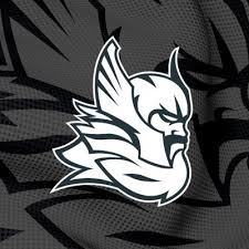 Image result for Milton Keynes Thunder