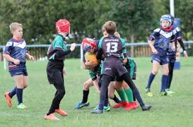 Image result for Milford Marlins Rugby League Football Club