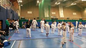 Image result for New Milton Taekwondo Club