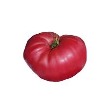 Afbeeldingsresultaat voor prudence purple tomato