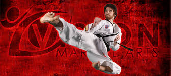 Image result for Vision Martial Arts