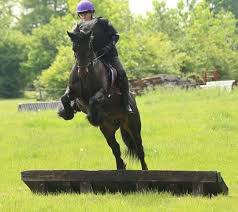 Image result for Chobham and District Riding Club