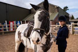 Image result for Liverpool Equestrian Club