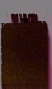 Attēlu rezultāti vaicājumam “Diderma subincarnatum spores”