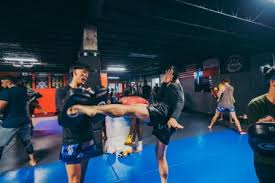Image result for Muay Thai Clubs