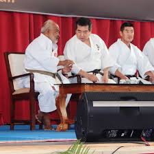 Image result for Shitokai Karate Club