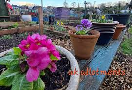 Image result for Colchester Ibc