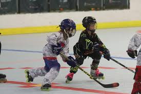 Image result for Vipers Roller Hockey Team