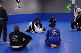 Image result for Bilsborrow Ju Jitsu Club
