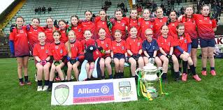 Image result for St Paul`s Gaelic Football Club