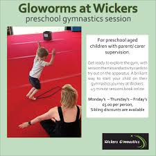Image result for Wickers Gymnastics Club
