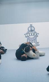 Image result for Derwent Jujitsu Academies