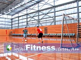 Image result for Sports Centre Netball