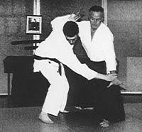 Image result for Ellis Schools of Traditional Aikido