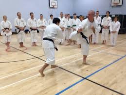 Image result for Harrow Shorinji Kempo