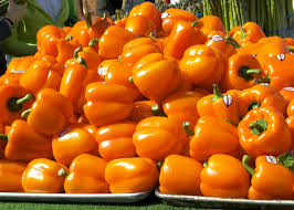 Afbeeldingsresultaat voor californian wonder golden sweet pepper