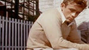 Attēlu rezultāti vaicājumam “Diderma testaceum young”