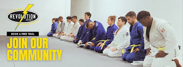 Image result for Revolution Dojo