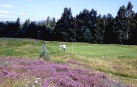 Image result for Abernethy Golf Club